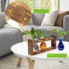 Terrarium Propagation Station with 3 Borosilicate Glass Bulbs and Wooden Stand