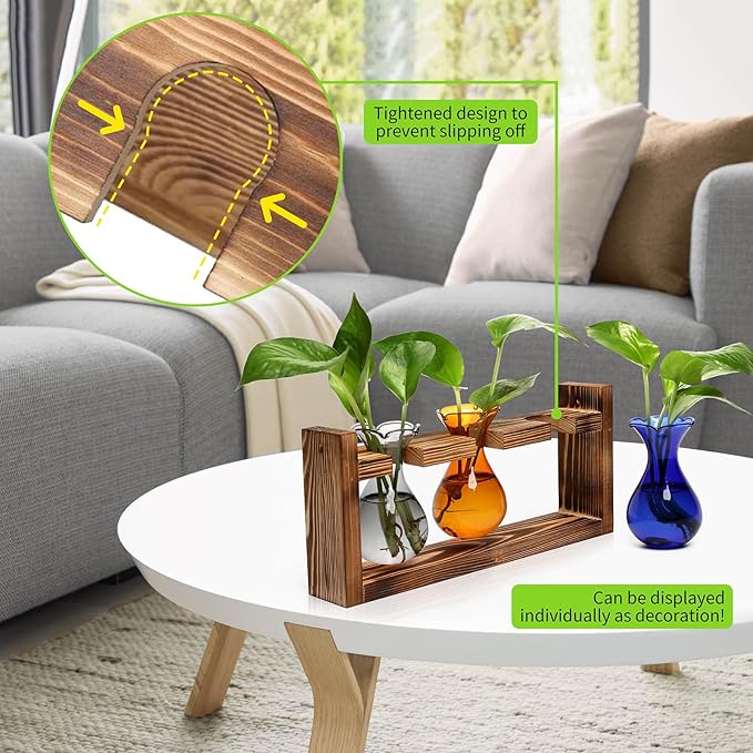 Terrarium Propagation Station with 3 Borosilicate Glass Bulbs and Wooden Stand