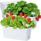 Window Box Planter 6 Packs, 13.8 Inches Rectangle Flower Pots with Drainage Holes & Trays, Pots for Vegetables, Herbs, Flowers, Garden Windowsill Balcony (White)