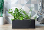 D'vine Dev 12 Inch Window Box Planter, Rectangle Plastic Herb Planter with Drainage Holes and Saucer, Indoor Succulent Cactus Vegetable Pot for Windowsill, Garden Balcony, Black, Set of 2, 76-X-B-2