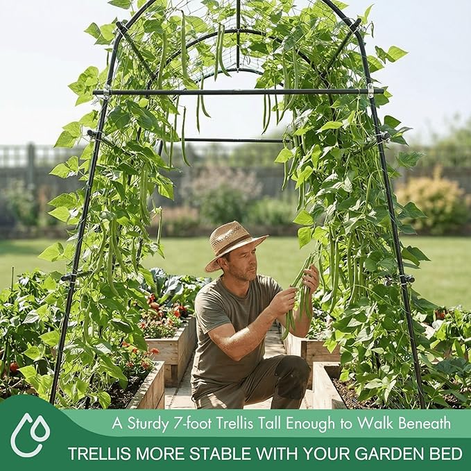 7ft Garden Arch Trellis for Climbing Plants Outdoor-Heavy Duty Metal Cucumber Trellis for Raised Beds- Tall Steel Vegetable Arbor with Strong Bolt Assembly & Outdoor-Ready Stakes