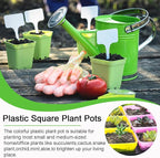 Anyumocz 42 PCS Plastic Square Plant Pots,Multi Color Nursery Pots,Small Flower Pots for Indoor Outdoor Plants,Garden,Home Balcony Decorations