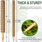 Soupiar 2 Pack 22 Inch Stackable Moss Pole - Thick & Sturdy Natural Coir Totem Plant Support & Garden Stakes for Monstera & Pothos, Indoor Climbing Vining Houseplants, 38”H Max