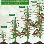Plant Stakes 17 inch SupKing Support Stick Orchid Stakes with Clips 10Pcs Garden Plant Poles Extended to 3/4/5ft for Indoor Outdoor Potted Tomato Rose Amaryllis Vegetables Monstera Comes with 20 Ties