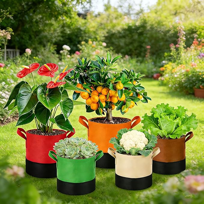 5 Gallon Fabric Grow Bags 5-Pack, 350G Heavy Duty Nonwoven Plant Pots with Handles, Breathable Root Pruning Containers for Vegetables Flowers Indoor Outdoor Gardening