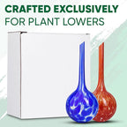 Plant Watering Globes Set of 2 - Small Self Watering Globes for Indoor & Outdoor Plants - Multicolored, Automatic, Glass Watering Bulbs for Daily Use, Plant Watering Devices