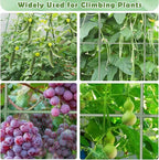 Cucumber Trellis for Raised Bed, Garden Arch Trellis for Climbing Plants Outdoor, Metal Garden Trellis for Spring Vegetables, Cucumber Trellis for Tomato, Bean, Pea, Grape, Plant