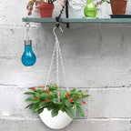 4 Pack 8 inch Plastic Self Watering Hanging Planters,Round Hanging Basket Planter with Drainer and Metal Chain,White Garden Flower Plant Pot Container for Indoor Outdoor Plants