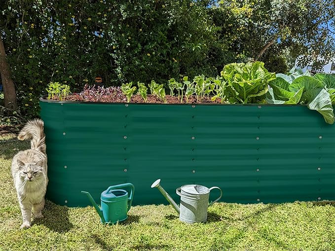 Plant & Plot Galvanized Raised Garden Beds Outdoor // 8×2×2 ft Planter Raised Beds for Gardening, Vegetables, Flowers // Large Metal Garden Box (Dark Green) // Patented Tool-Free Design