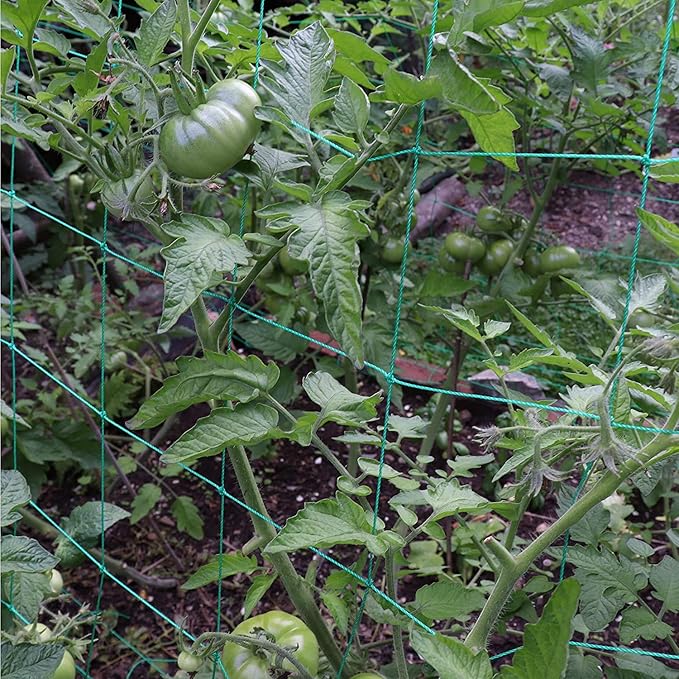 Trellis Netting for Climbing Plants - Heavy Duty Garden Trellis Netting for Cucumber, Vine, Fruits & Vegetables Tomato Plants Trellis Net, Climbing Vining Plants (1-Pack 8.2' x 6.6'Ft)