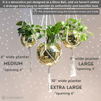 SCANDINORDICA Disco Ball Planter – Disco Ball Plant Hanger, Mirror Disco Planter with Chain, Macrame Hanger, Acrylic Stand and Insert Pot, Hanging Planter | Disco Ball Decor – 20 cm (8“) Gold