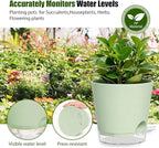 Plant Pots 4/5/5.5/6/6.5/7/8 Inch Self Watering Pots, 7 Pack Plastic Planters with Drainage Holes and Clear Saucers,Plastic Flower Pots,Nursery Planting Pot for Indoor Out Door Plants (Green)