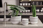 Docrin 3-Pack Ceramic Planters Set - 6.5"+5.3"+4" Dual-Tone Flower Pots with Drainage Holes, Modern Indoor Outdoor Planters for Succulents/Herbs/Large Plants, Home Office (Brownish Black & White)