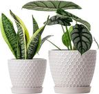 Docrin Ceramic Plant Pots Set of 2 (6.6"+5.5"), High-Fired Clay Indoor Planters with Drainage Holes & Saucer, Honeycomb Modern Home Decor for All House Plants