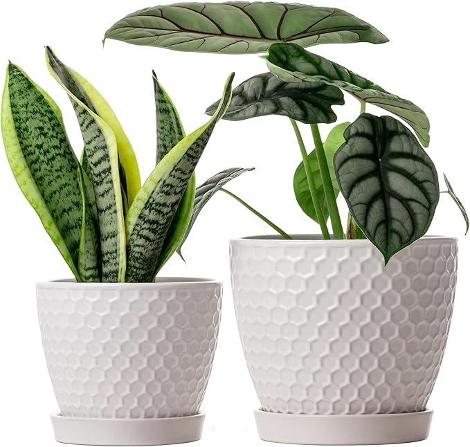Docrin Ceramic Plant Pots Set of 2 (6.6"+5.5"), High-Fired Clay Indoor Planters with Drainage Holes & Saucer, Honeycomb Modern Home Decor for All House Plants