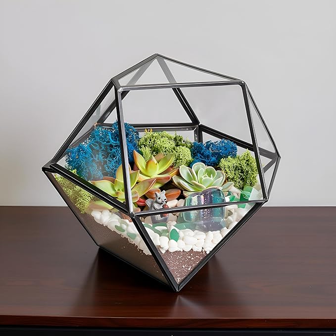 Terrarium Kit, 7-Inch Dodecahedron Glass Container with Moss and Crystals