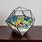 Terrarium Kit, 7-Inch Dodecahedron Glass Container with Moss and Crystals