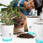 KIMCHOMERSE Self Watering Plant Pots, 6 Inch Plant Pots White, 6 Pack Flowers Pot Indoor Planter Pots with Tray for Spider Plant, Orchid, African Violet