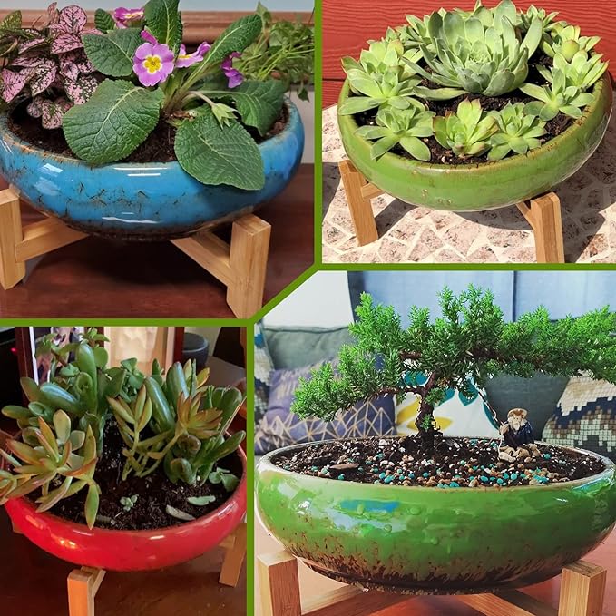Large Succulent Pots with Drainage & Stand, 10 inch Ceramic Succulent Planter for indoor Plants plus Decorative Rock Stone Pebbles 2.2lb & Garden Tools Set, Perfect for Bonsai, Cactus Beginner