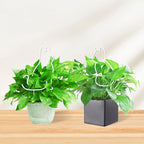 Cat-Shaped Small Trellis for Potted Plants, 13 inches Hoya Trellis 2 Pack, Metal Plant Trellis for Climbing Plants Indoor, Houseplants Trellis Indoor (White)