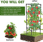 3 Pack Tomato Cages, Square Tomato Plant Stakes Support Cages Trellis for Garden Climbing Vegetables Flowers Fruits,Extra Bold,Black