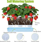 Window Box Planter 6 Packs, 13.8 Inches Rectangle Flower Pots with Drainage Holes & Trays, Pots for Vegetables, Herbs, Flowers, Garden Windowsill Balcony (Translucent White)