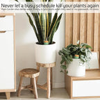 Ollas Plant Watering Globes - Terracotta Self Watering Planter Insert - Watering Bulbs for Indoor and Outdoor Plants with Easy Top Refill System - Set of 4 (Jade Green)