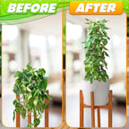 Moss Pole 26.4" Small Monstera Plant Support 2 Pcs Set - Pothos Plant Climber Support with Connectable Design and Fixation Strip - Coconut Fiber Moss Poles for Monstera, Money Plants, Philodendron