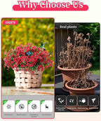 Faux Flowers for Outdoor Planters 16 Bundles UV Resistant Artificial Fake Eucalyptus Plants Outside Spring Summer Yard Decoration Realistic Silk Daisy Used for Patio,Front Porch,Garden Pots Decor