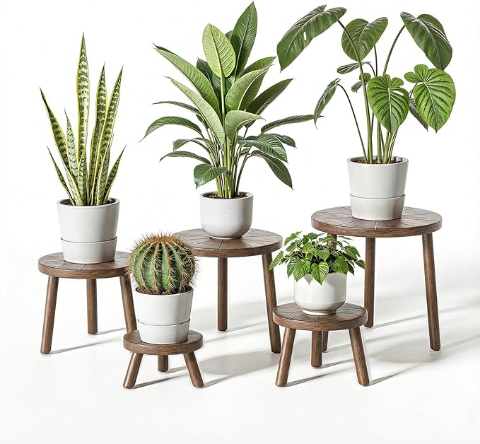 Delma Wood Plant Stands Indoor, 5-Pack Single Plant Stand for 6-12 Inch Pots, Mid-Century Modern Plant Stool, Tall Plant Stand for Large Plants for Living Room, Balcony, Office (Dark Brown, 5-Pack)
