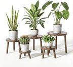 Delma Wood Plant Stands Indoor, 5-Pack Single Plant Stand for 6-12 Inch Pots, Mid-Century Modern Plant Stool, Tall Plant Stand for Large Plants for Living Room, Balcony, Office (Dark Brown, 5-Pack)