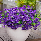 Artificial Flowers for Outdoors, UV Resistant Fake Silk Morning Glory, Realistic Faux Plants for Outside Porch Patio Window Box Hanging Planter (16, Purple)