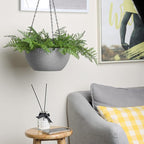 T4U Hanging Planters for Indoor Plants, 10 Inch Hanging Planter Outdoor 2 Pack, Hanging Basket with Drainage Holes, Hanging Plant Holder Indoor, Flower Pots, Plant Pots for Garden, Grey