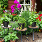 10 Pack 5 Inch Plant Pots with Drainage and Saucers, Black Plastic Flower Pots for Indoor and Outdoor Plants, Stackable Nursery Planters for Houseplants and Herbs, Black