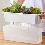FAMZ Self Watering Pots for Indoor Plants 3 Pack Transparent Rectangular Planting Self Watering Planter，Vegetable Planters for Windowsill Patio Garden Balcony Home Porch Yard Indoor Outdoor (White)