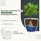 Utopia Home - Plant Pots Indoor with Drainage - 7/6.6/6/5.3/4.8 Inches Flower Pots for Indoor Planter - 10 Pack Plastic Planters - Ideal for Stocking Stuffers or Home Christmas Decorations - White