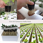 ORIMERC 12 Pack 3 inch Net Cups Pots with 12 feet Hydroponics Self Watering Wick & 12 Plant Labels Aquaponics Mason Jar Bucket Insert Orchid kratky Vegetable Garden Growing Netted Basket Slotted Mesh