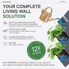 BOXSAND-12 Vertical Wall Planter for 12 Plants – Indoor/Outdoor Living Wall, Space-Saving Vertical Garden System, Easy 2-Screw Install (White, 24"x26", no pots)