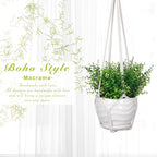 YIBOT 3 Pack Macrame Plant Hanger Indoor Hanging Planter for Plants Holder with 3 Hooks, 35"/29"/23" Size No Tassels for Boho Home Decor, Ivory (POTS NOT Included)