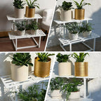Metal Plant Stand Indoor, Outdoor Iron Plant Shelf, Heavy Duty Slatted Display Shelf for Patio Balcony Garden Living Room Load Bearing 330 LB 26" L x 20.2" H x 17.7" W 2 Tier White