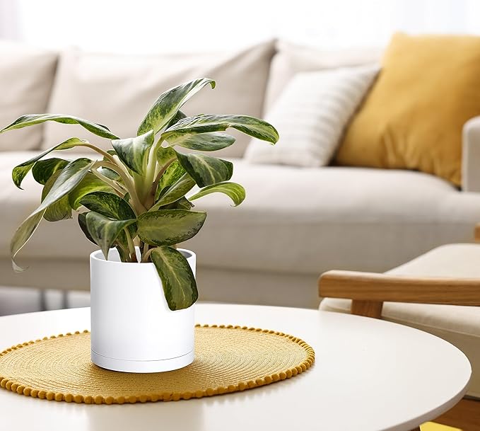 Modern Plastic Planter Pots 6 Inch, Matte White, Set of 4 with Saucers