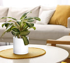 Planters 6 Inch Matte White Plastic Pots with Saucers, Set of 2