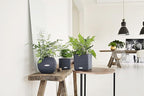 Lechuza Puro Color 20 Slate, Self-Watering Small Indoor Planter, D7.9 H6.3 in