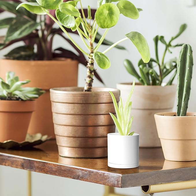 Planter Pots 24 Pack, 2 Inch Matte White Plastic with Saucers