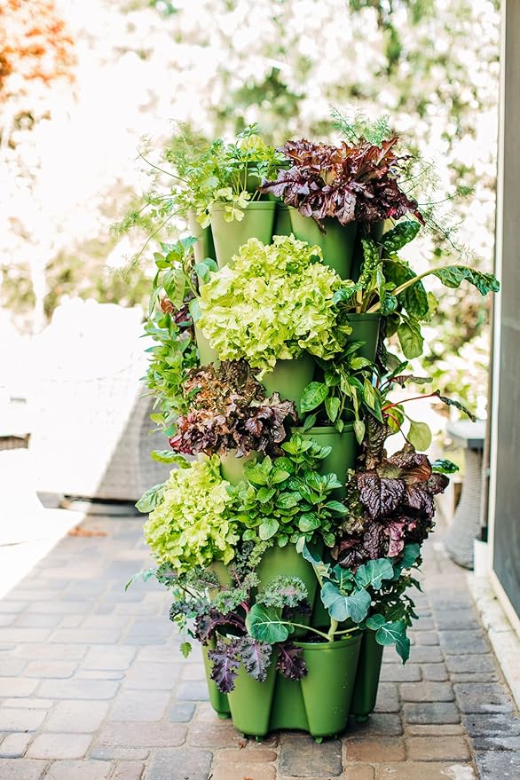 Greenstalk Patented Large 5 Tier Vertical Garden Planter with Patented Internal Watering System Great for Growing a Variety of Strawberries, Vegetables, Herbs, & Flowers (Evergreen)