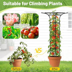 Garden Trellis for Climbing Plants Outdoor, 65 Inch Mushroom Top Trellis for Climbing Plants, Plant Trellis Support for Potted Plants Climbing Vine Rose Clematis Vegetable Trellis, 1 Pack (1)