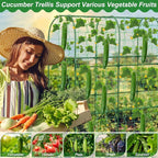 Cucumber Trellis for Raised Bed 51 x 50 Inch U-Shape Garden Trellis for Climbing Plants Outdoors Metal Garden Cucumbers Arch Trellis, Cucumber Plant Support for Tomato, Pea, Zucchini, Vine Flower