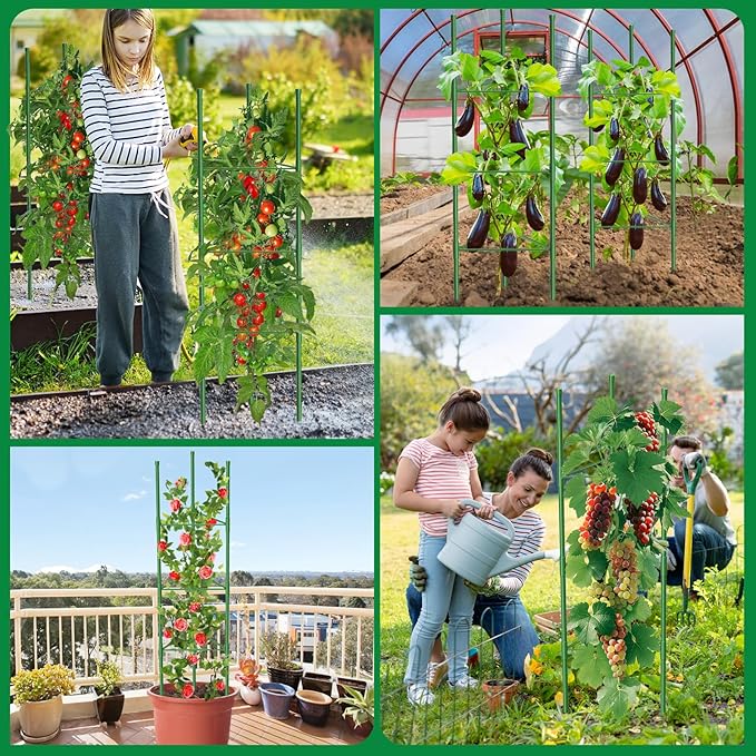 6 Pack Tomato Cages, 51.2in Tomato Plant Support Stakes Heavy-Duty, Garden Tomato Cages & Trellis for Climbing Vegetables, Tomatoes, Peppers, and Potted Plants(6)