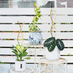 Indoor Plant Trellis for Potted Plants - Durable Metal Climbing Trellis with Unique DNA Spiral Design for Vining Plants, Easy Installation for Indoor & Outdoor Use