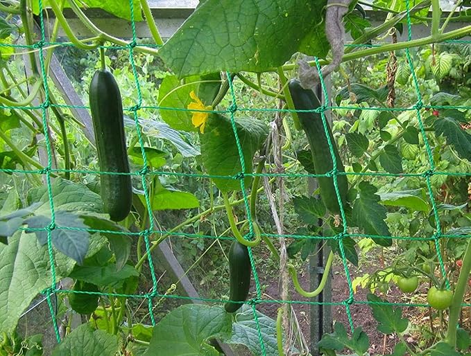 Trellis Netting for Climbing Plants - Heavy Duty Garden Trellis Netting for Cucumber, Vine, Fruits & Vegetables Tomato Plants Trellis Net, Climbing Vining Plants (1-Pack 8.2' x 6.6'Ft)